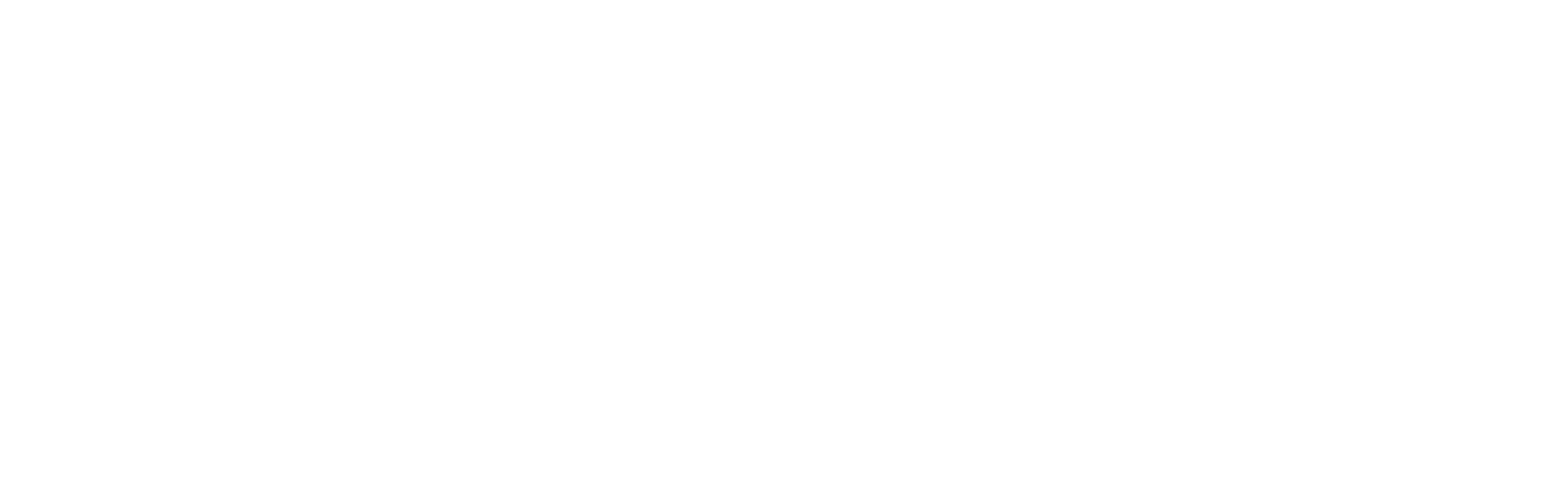 Strauss APS Logo